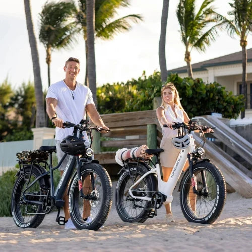 Dettaglio della e-bike HillDrive